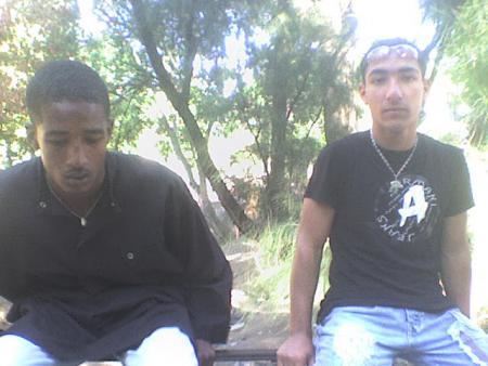 hossam et tarik